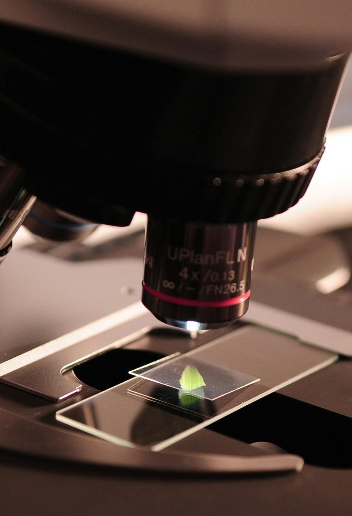 Detailed view of a microscope with a slide in a laboratory environment.